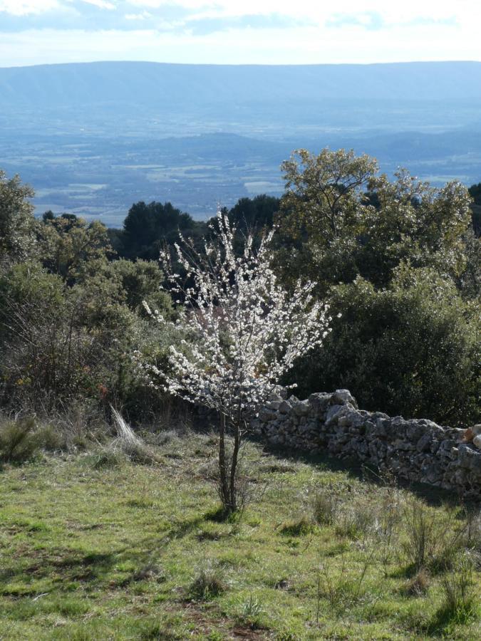 Hotel Le Jas Des Aiguiers Saint-Saturnin-lès-Apt Esterno foto